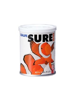 □SALE□30％OFF セレクト・ディスクコーラル フロリダ