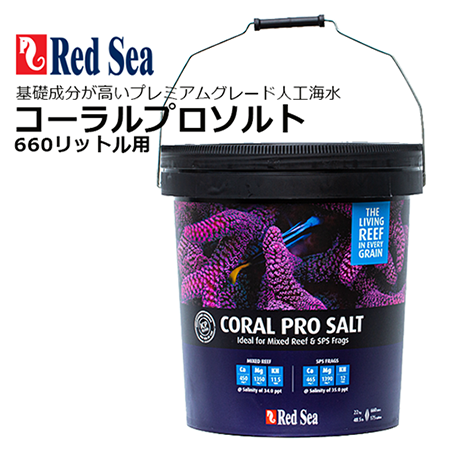 RedSea コーラルプロソルト６６０リットル用 - 海水魚専門店 ceppo 