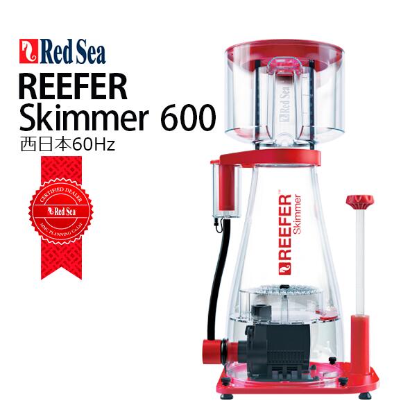 画像1: RedSea REEFER  AC Skimmer ６００(RSK-600) 60Hz (1)