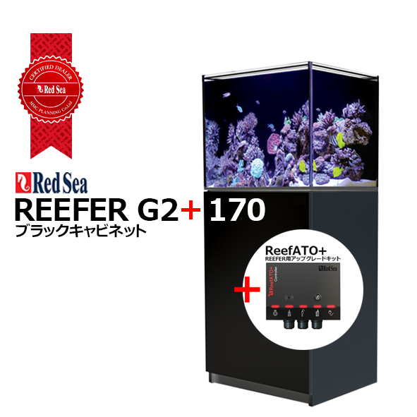 画像1: RedSea REEFER　G2+ 170ブラックキャビネット (1)