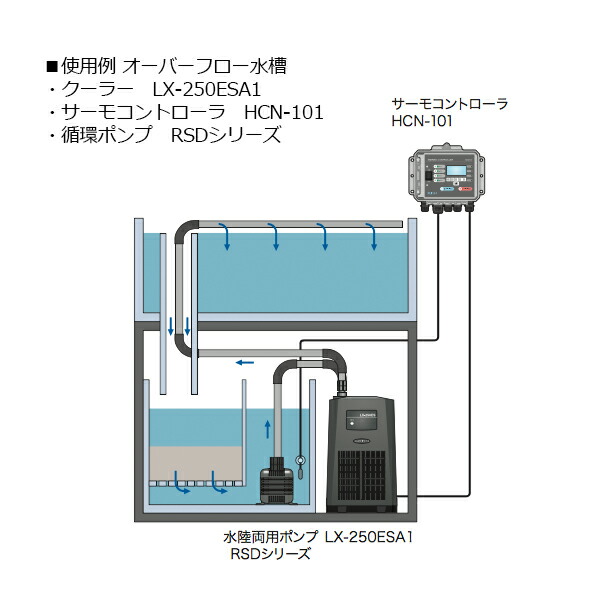 レイシー クーラー LX-300ESB1（サーモコントローラー別）