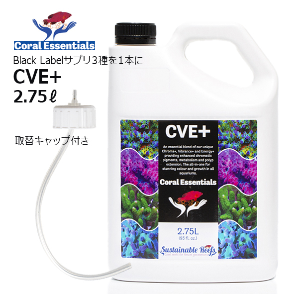 EcoFeeds3 | 海水魚専門店 セポのつぶやき・・・